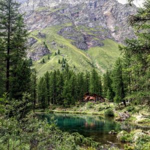 01A5D8D6-0DC4-4D49-B224-E5525D813C37_1_105_c