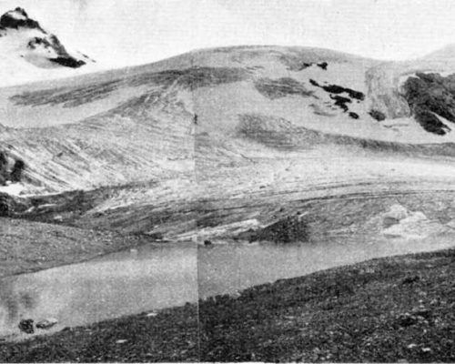 Goletta 1951