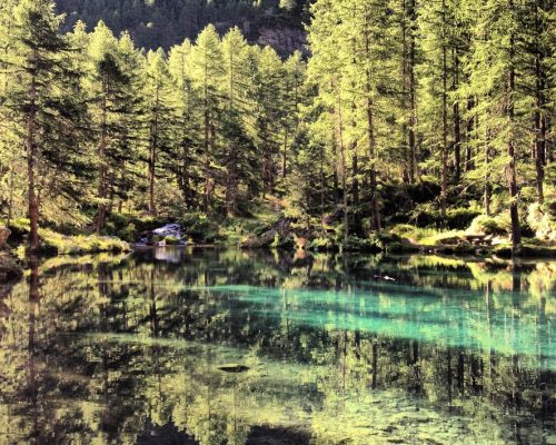 1028F943-A0D6-4B20-90E3-06E9972B6D0E_1_105_c