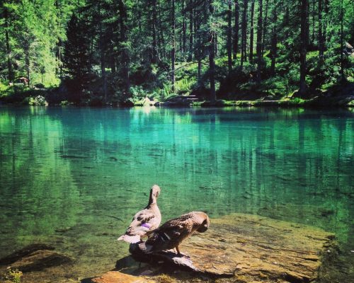 1171E0D9-2AF3-46D9-A409-3A255D99B67E_1_105_c