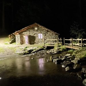 1BA68432-4588-467B-A53B-F76CF8DAC9D6_1_105_c