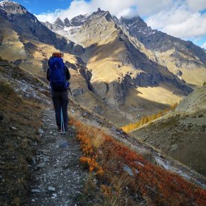 20CEEAA0-6D48-4D32-9641-677A69184E17_1_105_c