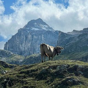 29C45F95-B857-41E7-99DC-9B33FA48FEDB_1_105_c