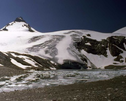 Goletta 1986
