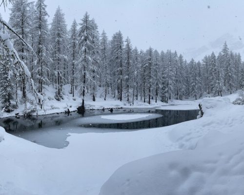 3CFB4D5B-758E-4A9B-9DEC-A6A48A88C8A2_1_105_c