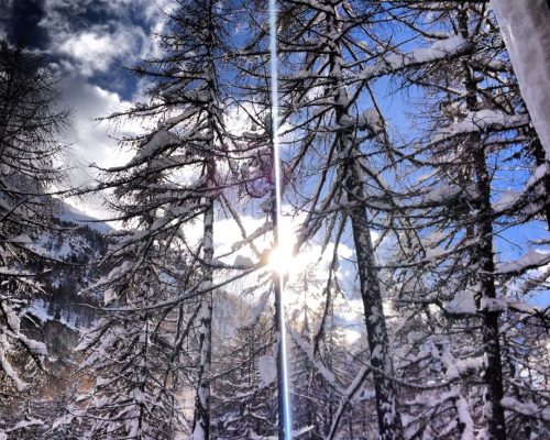 43E1F922-0759-4BAF-853D-22C99F671F6A_1_105_c