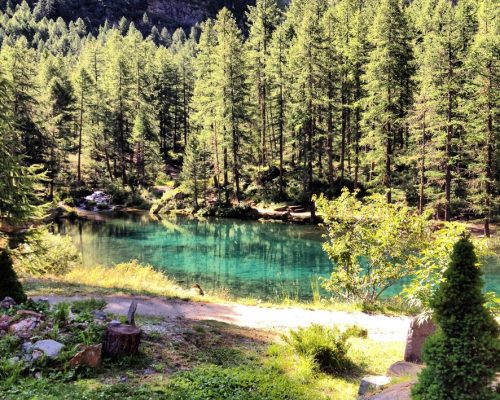 4503173F-902F-4E09-8604-0FC8BBE9AFDE_1_105_c