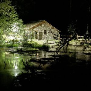 4AA389D9-F3F4-4467-BF47-AE8ED7026F1F_1_105_c