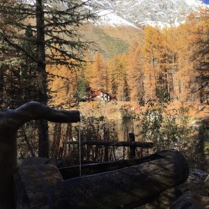 Le Chalet de Pellaud