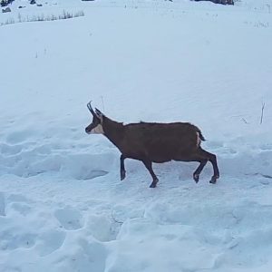 5B3997DC-777F-4911-9E3F-9937F08758FB_1_105_c