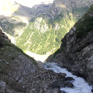 6827592F-2676-4925-A52C-4212F9BB54EE_1_105_c