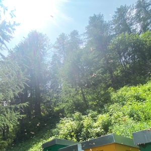 6E42D114-3749-49C4-B412-24828C517EBD