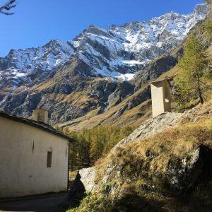 6E7737A9-0C5C-4D84-9A7F-CEF3DF79BFCF_1_105_c