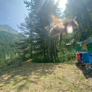 860C42BE-A678-4DCF-BA4D-2E27C6763089_1_102_o