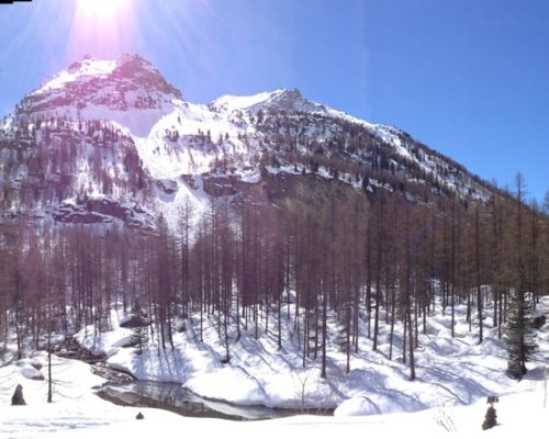 95ABC9C0-04CC-4ED2-BAC4-C703631D5040_1_105_c