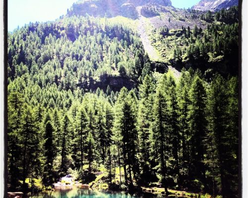 9D54EE8F-717E-4D08-A721-A9C98AF86DF4_1_105_c