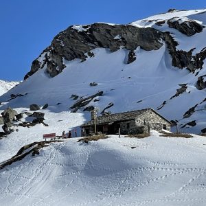 A1594EE2-FB34-445F-8E1E-09C168F30E5E_1_105_c