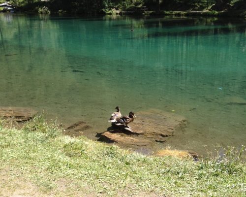 AB47F190-DB56-41B0-8CD0-39A9E568ABE7_1_105_c