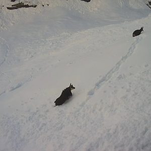 La fatica dell'inverno