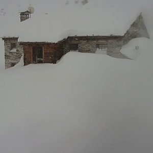 Neve