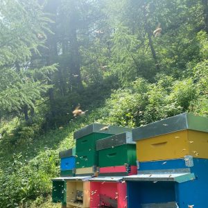 B1F3736D-2566-49DD-964D-51483CE1B5CC_1_102_o