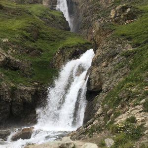 B9FB53DB-6BEE-4CA4-B5AA-F1E1E06559B7_1_105_c