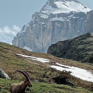 D841A1A5-4354-41D2-83A1-9DB495B37103_1_105_c