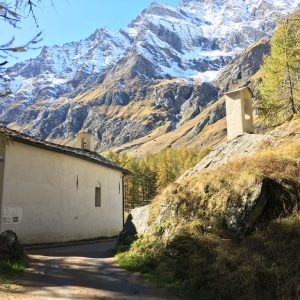 DB66FF08-B026-4CD3-9748-BE75C1A08216_1_105_c