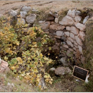 Calcara