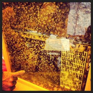 E2AAF0ED-555C-4F0A-AD37-8CD34DC8873A_1_105_c