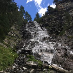 E2EABA57-DB3D-47FD-86EF-572C36145935_1_105_c