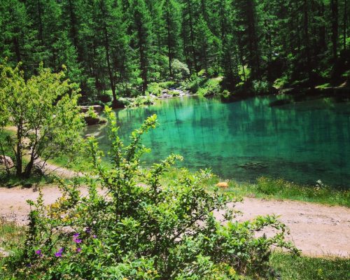 {"DeviceAngle":-0.1016703}