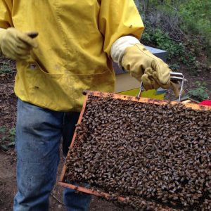 {"DeviceAngle":0.03007658}