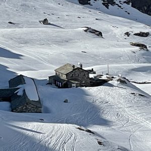 F4BA3E50-FA87-42BF-9E40-F341E80E5F6A_1_105_c