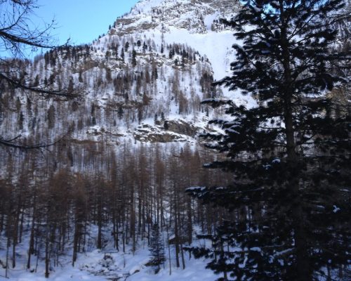 F503108C-A8DD-4AF7-925C-2B870C6C0771_1_105_c