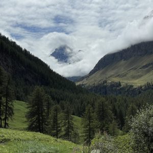 F5EF398F-DA32-4C6B-8829-39D4F174AB84_1_105_c