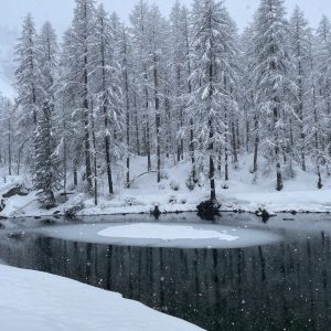 F5F40711-5BA9-4B75-923E-7425B94893DD_1_105_c