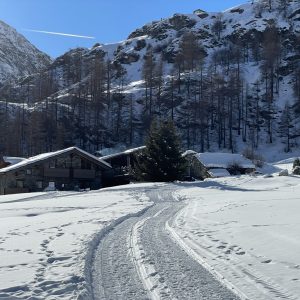 F6B1FC5A-2381-4FBE-AFF4-2DF10A804B59_1_105_c