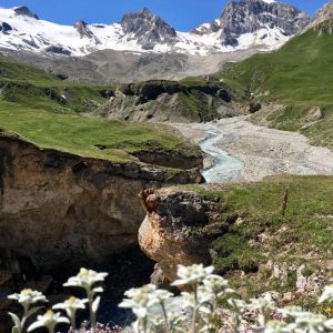 F760474E-7A44-40FB-8E33-5C9EF611A9BB