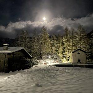 FD0226A2-0F2E-4FC1-8AB7-658231CD9D23_1_105_c