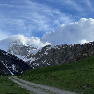IMG_5310