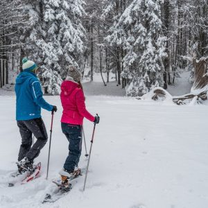 win-ciaspole-dicembre-2020-gober-13